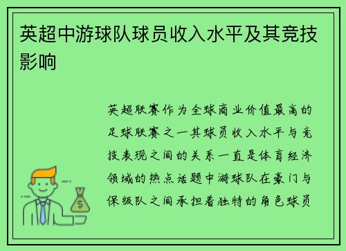 英超中游球队球员收入水平及其竞技影响