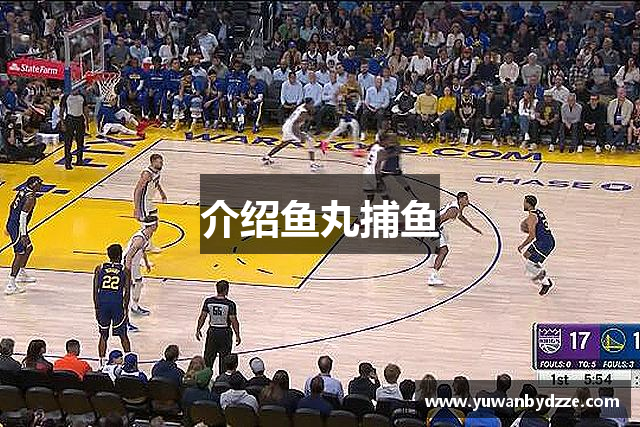 介绍鱼丸捕鱼